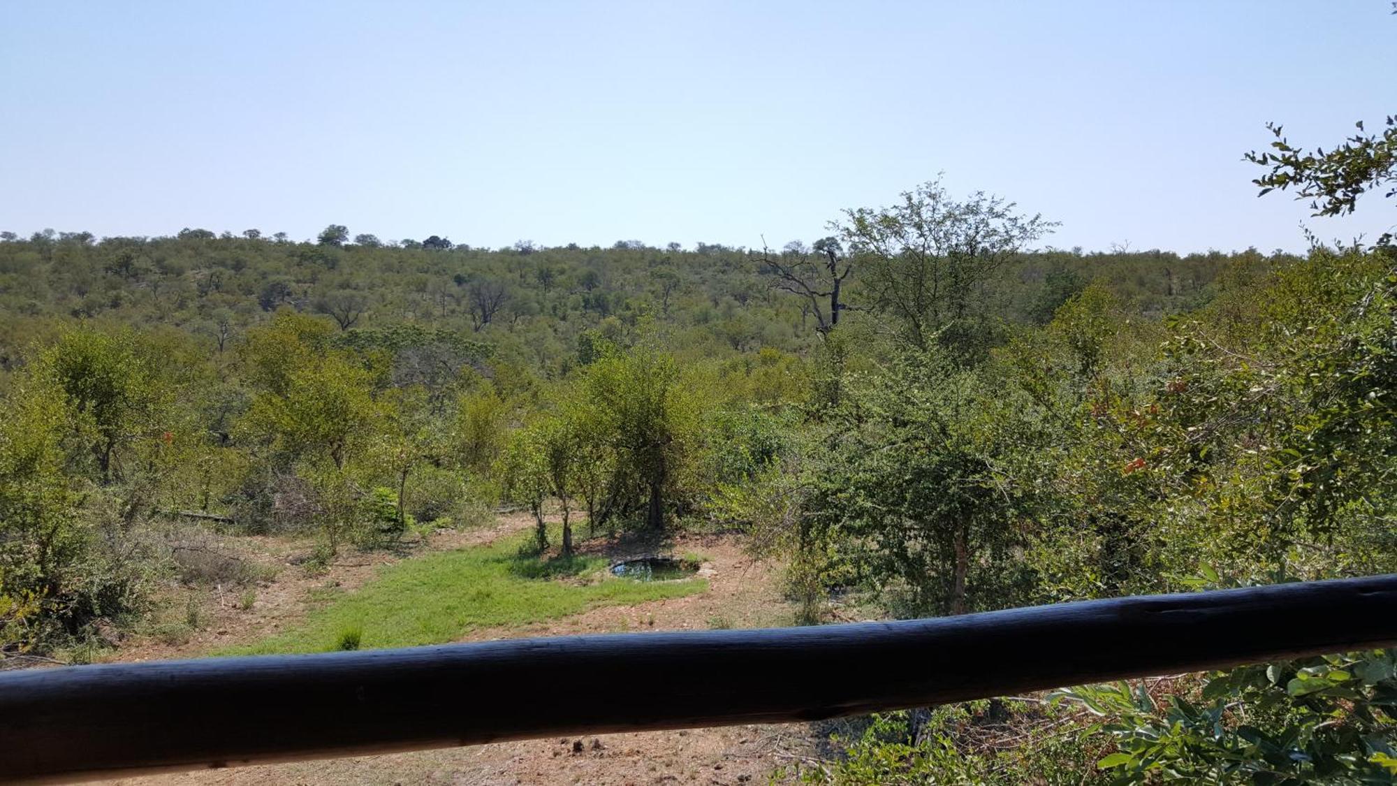 Muweti Bush Lodge Grietjie Game Reserve Room photo