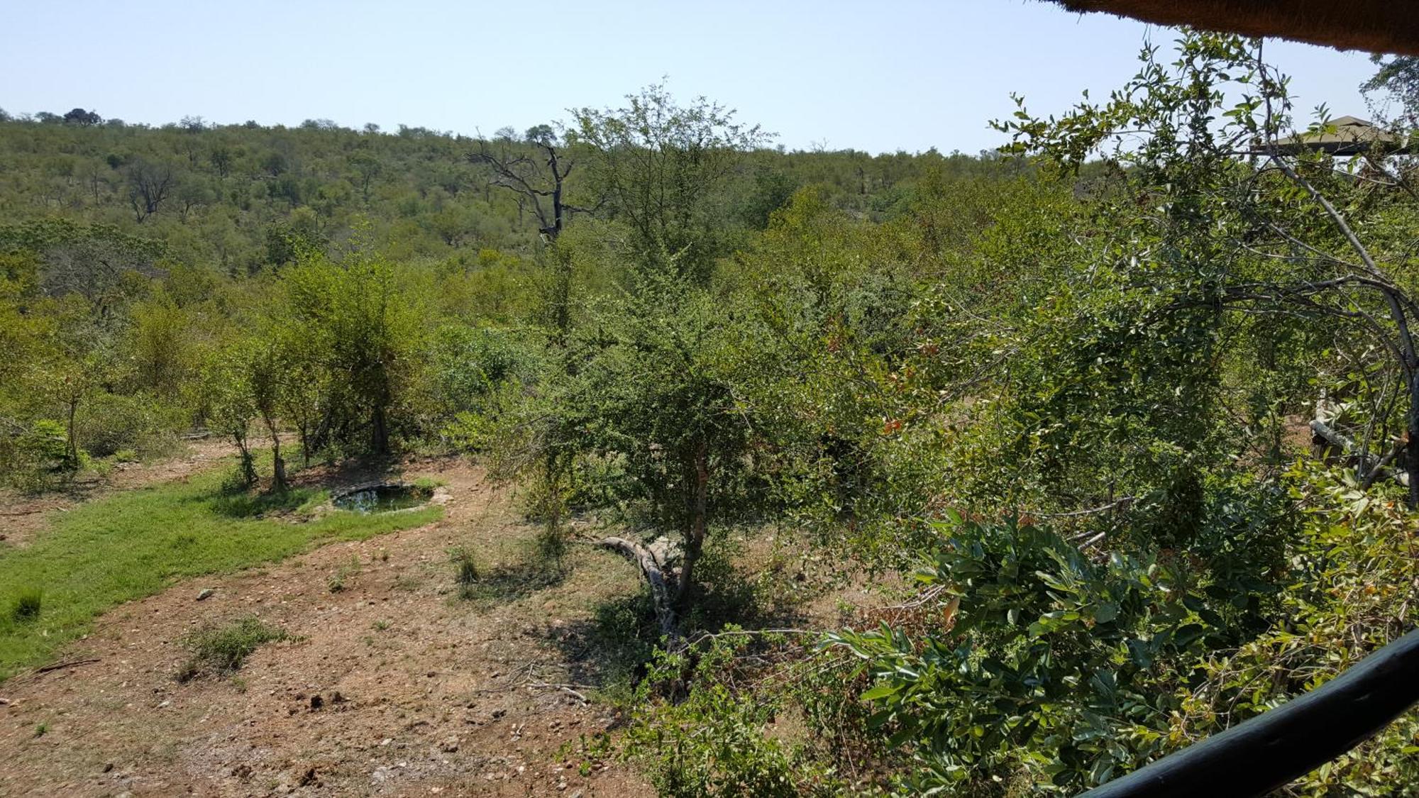 Muweti Bush Lodge Grietjie Game Reserve Room photo