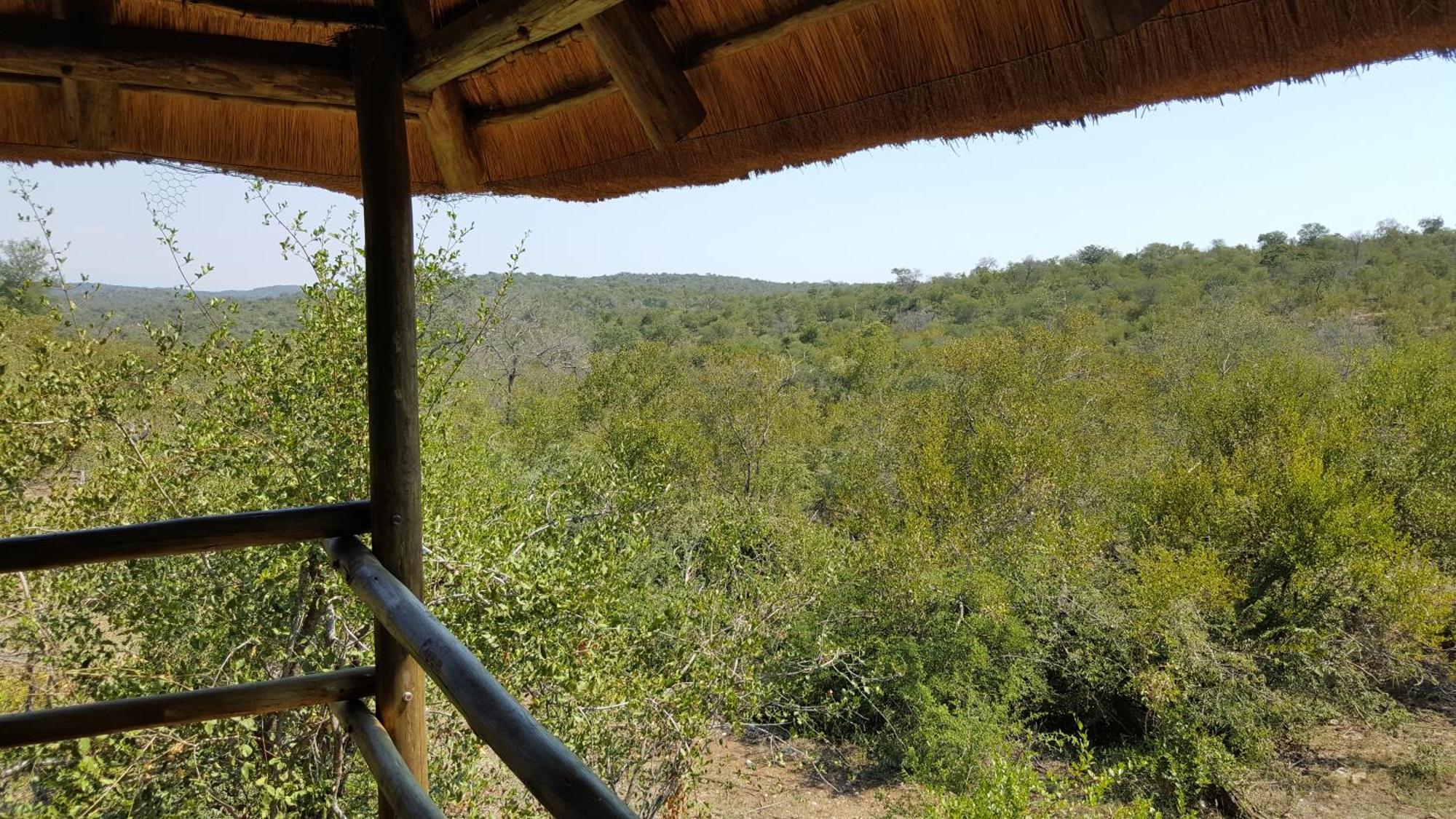 Muweti Bush Lodge Grietjie Game Reserve Room photo