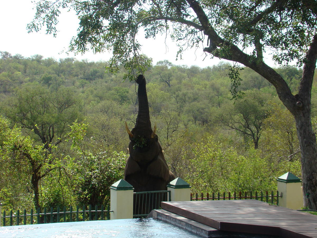 Muweti Bush Lodge Grietjie Game Reserve Exterior photo